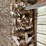 cultivator-points/blades-image-1
