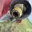2005-case-ih-2208-image-19