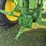 1966-john-deere-4020-image-12