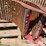 case-ih-1660-image-12