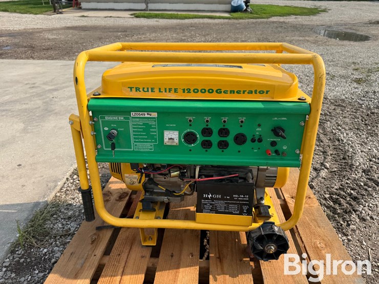 true-life-12,000-generator-image-2