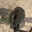 howse-500-image-17