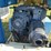 putzmeisier--tr40-image-14