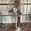 large-lasko-shop-fan-image-1