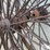 48"-steel-wheels-image-8