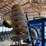 2006-landoll-6230-30-image-24