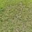 new-holland-4835-image-22