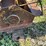 buhler-farm-king-861-image-17