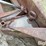 john-deere-534-image-17