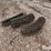 precision-planting-seed-firmers-&-finger-packing-wheels-image-7