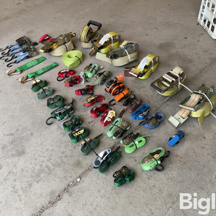 Assorted Ratchet Straps