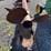 #633-•-n-tech-manure-agitator-(mason,-wi)-image-14