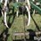 glencoe-soil-saver-image-20