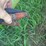 parker-grain-buggy-image-13