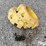 john-deere-front-axle-tractor-weights-image-4