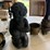 assort.-home-décor-image-4