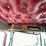 2006-kenworth-t800-image-80