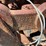 bobcat-s770-image-17