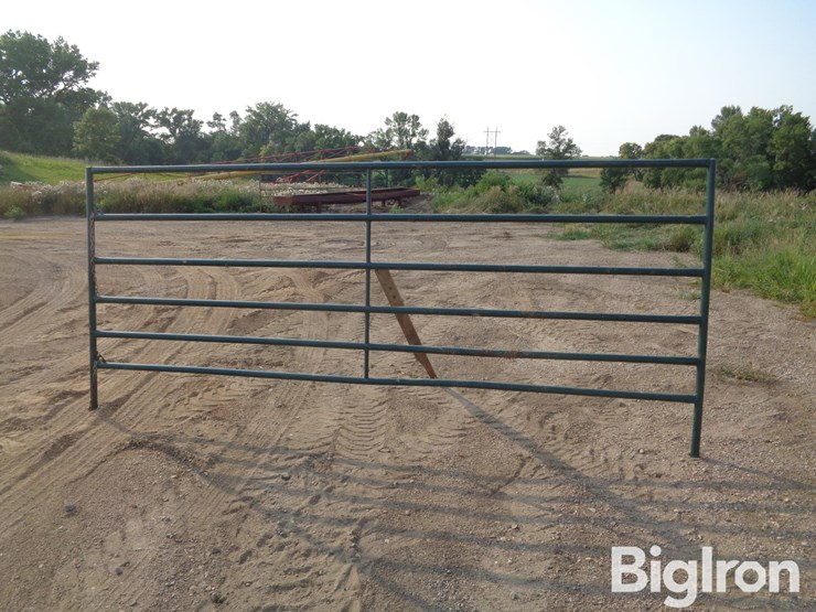 livestock-panel-12'-x-5'-image-4