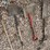 hand-tools-image-13