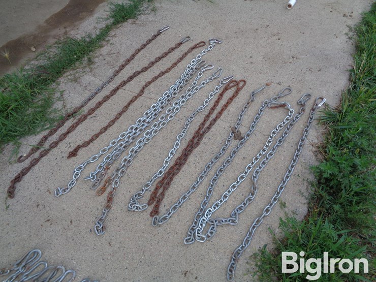 cattle-gate-chains-qty-16-image-3