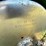 2014-great-plains-3s-5000hd-image-18