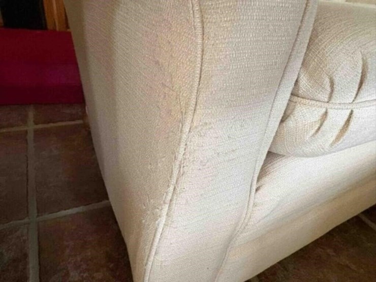 2-cream-armchairs-and-ottoman-image-3