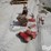 international-m-image-4