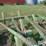 john-deere-1600-image-20