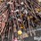 electric-fence-posts-image-18