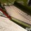 2023-claas-lexion-8700tt-image-20