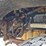 2005-peterbilt-357-image-16
