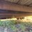 1994-kiefer-built-stockmaster-magnum-t/a-livestock-trailer-image-14