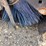 erskine-7’-sweeper-bucket-image-18