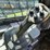 deere-331g-image-15