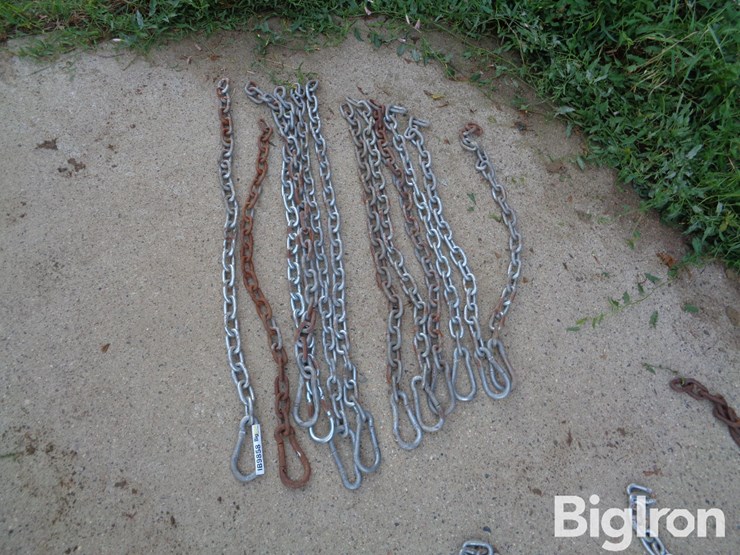 cattle-gate-chains-qty-12-image-8