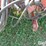 international-800-image-11