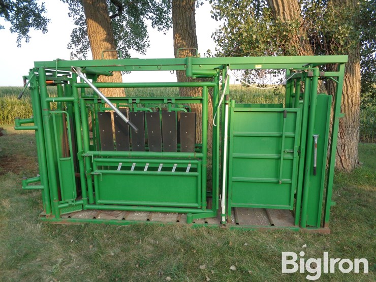 real-tuff-cattle-working-chute-image-10