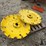 john-deere-rear-cast-wheels-image-6