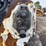 2021-bobcat-s590-image-11