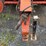 hesston-5585-image-18