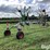 claas-liner-1750-image-5