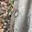 farmaster-575-gal-livestock-tank-image-9