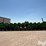 john-deere-1293-image-6