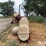 case-ih-900-image-6