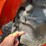 kubota-l2502hst-image-24