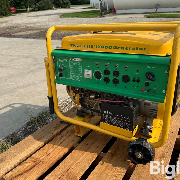 True Life 12,000 Generator