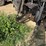 case-ih-7130-image-31