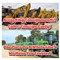 highway-64-consignment-auction--day-2-online-only!-image-4