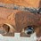 erskine-15-planetary-drive-post-hole-auger-w/12"-auger-image-10